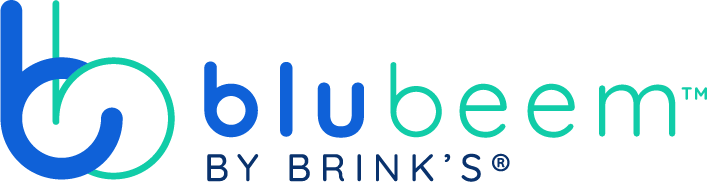 BLUbeem paymnets logo