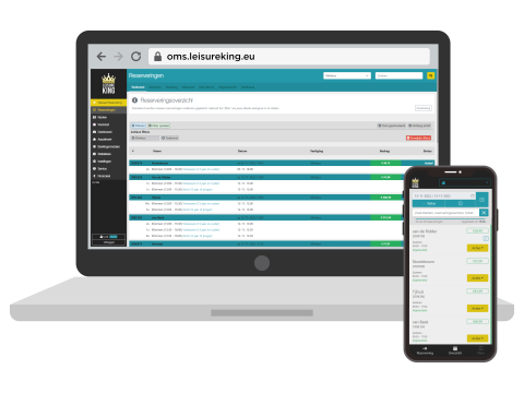 leisureking systeem